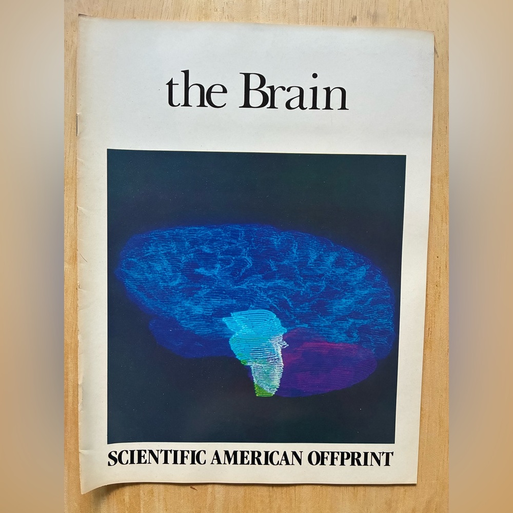 The Brain - Scientific American Offprint 1984